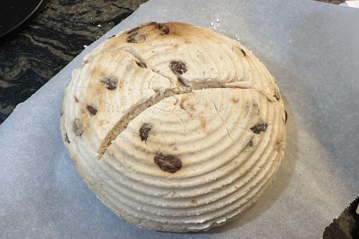 A round boule version of the gluten free cinnamon raisin artisan bread with a lame cut across the top.