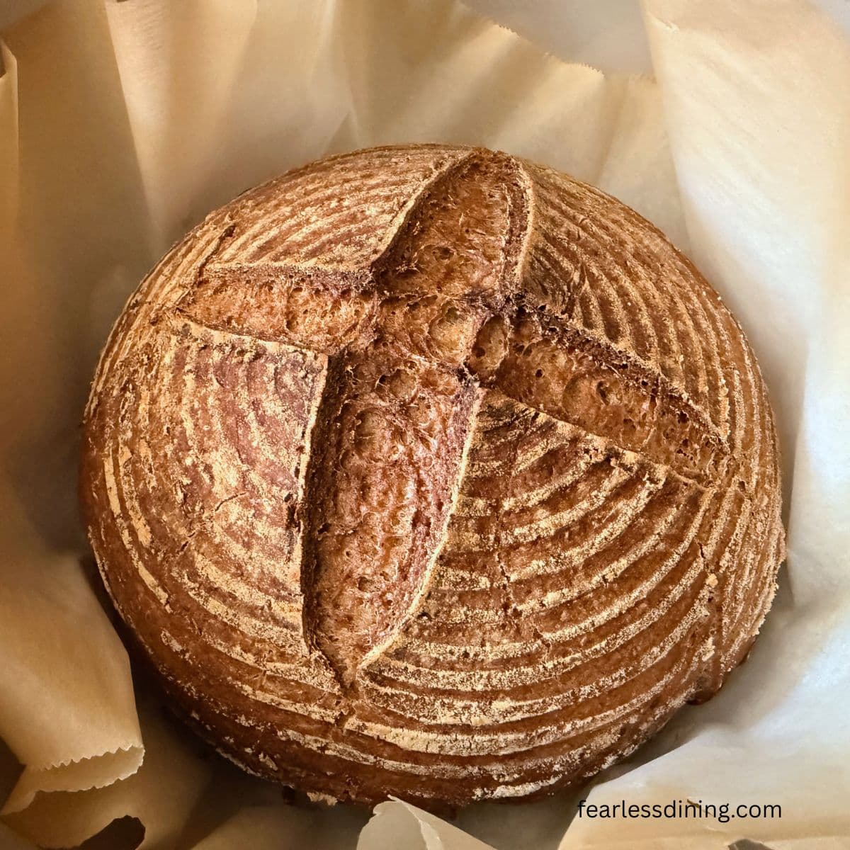 A round boule loaf of the gluten free whole grain sourdough bread.