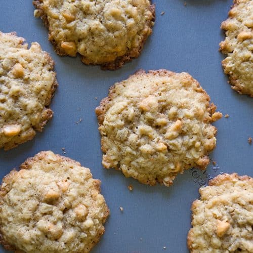 Gluten free oatmeal butterscotch cookies on a cookie sheet.