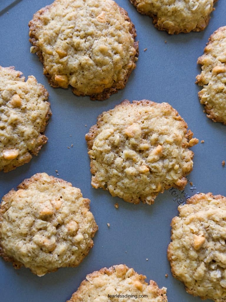 Gluten free oatmeal butterscotch cookies on a cookie sheet.