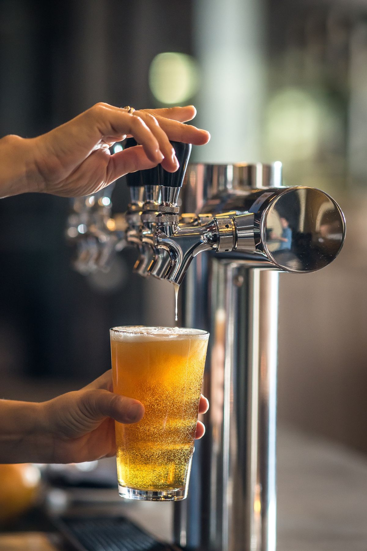 Pouring a draft beer into a glass.