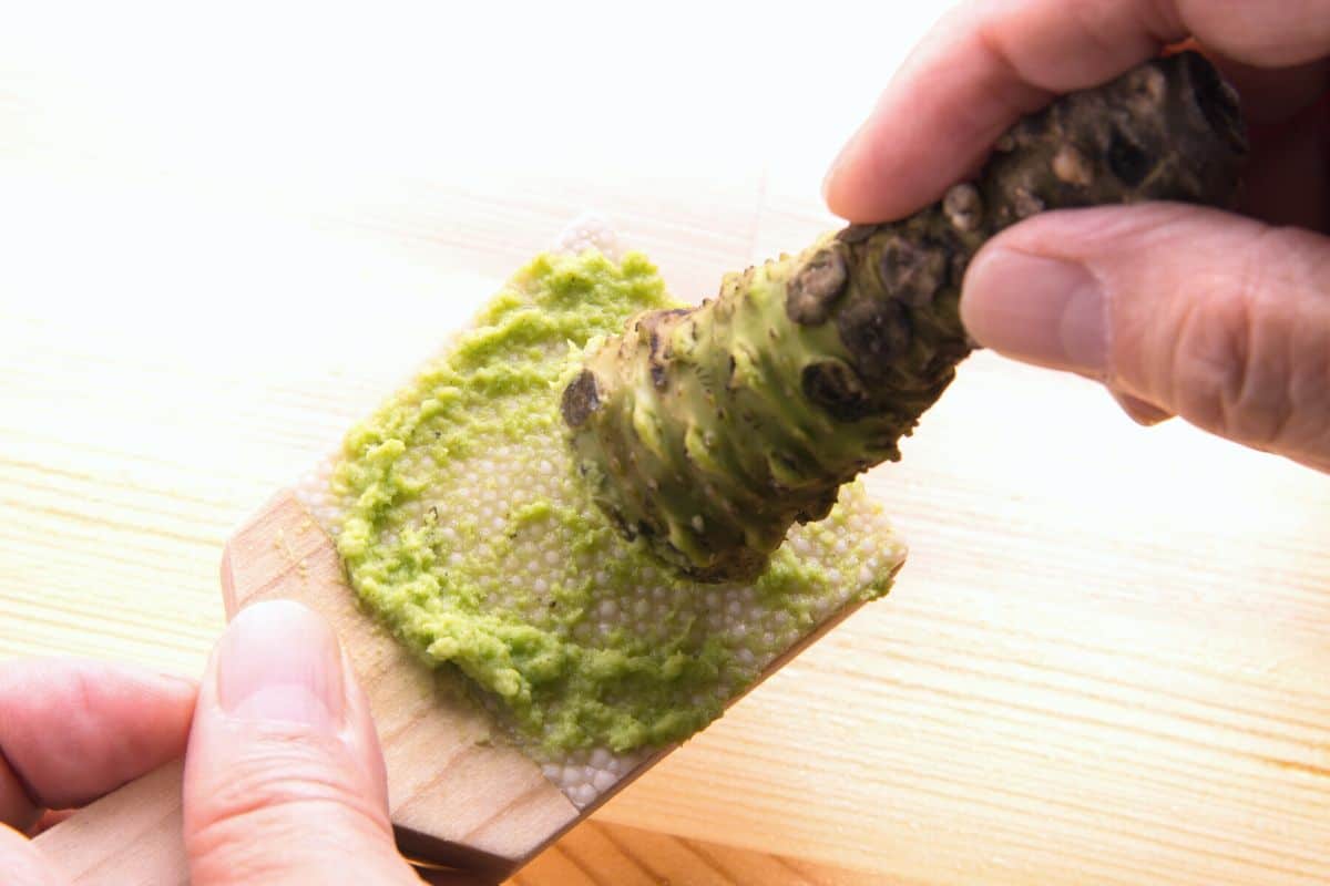 rubbing wasabi root on a board.